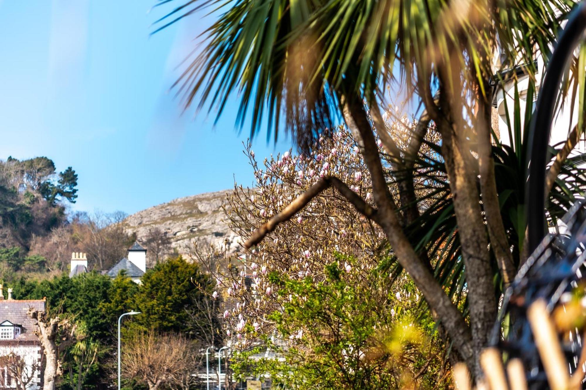 Mulberry House Hotel Llandudno Buitenkant foto